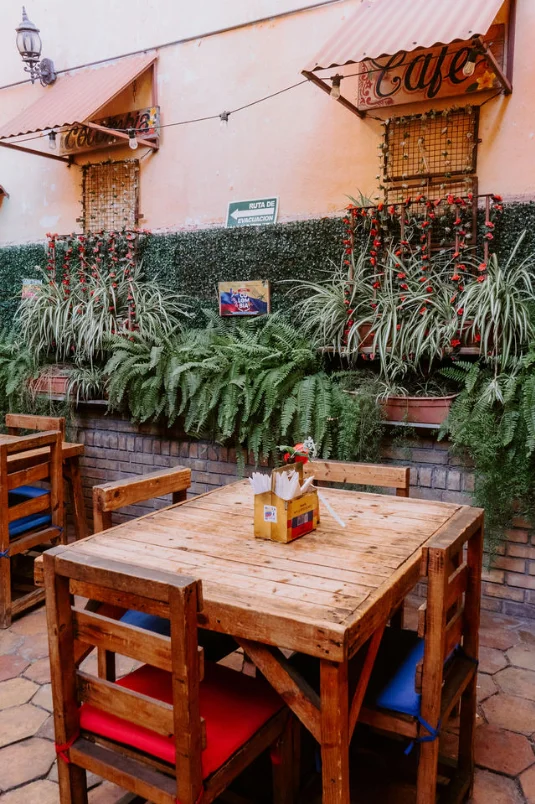 Patio de Encanto Colombia con plantas